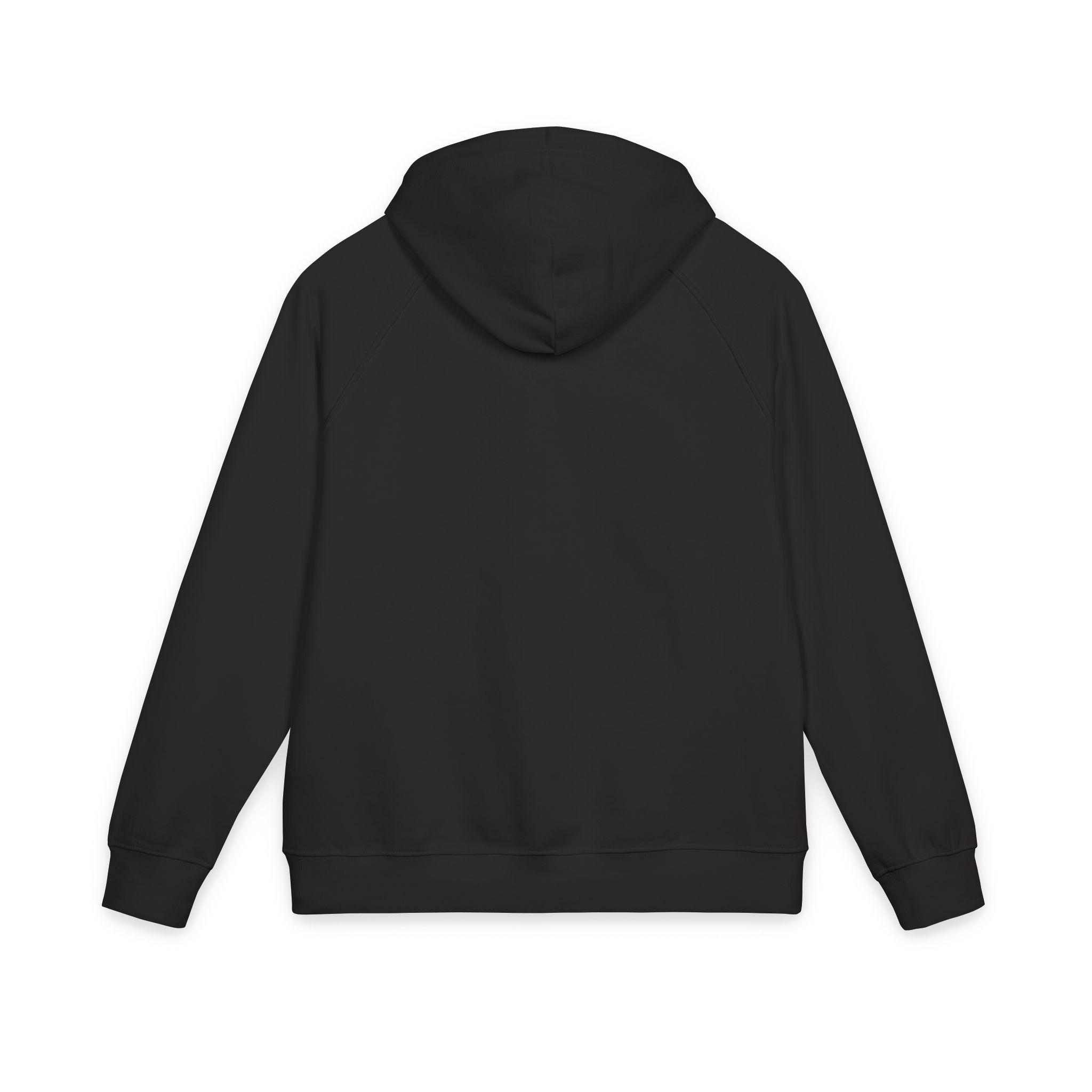Vector Streetwear Overcoming Illustration Design Unisex Eco Raglan Hoodie Embroidery - Image 18