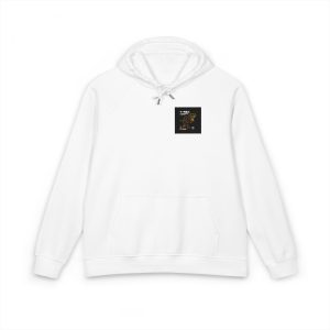 T Rex Wordwide Simple Vintage Clothing Kids Unisex Eco Raglan Hoodie Embroidery