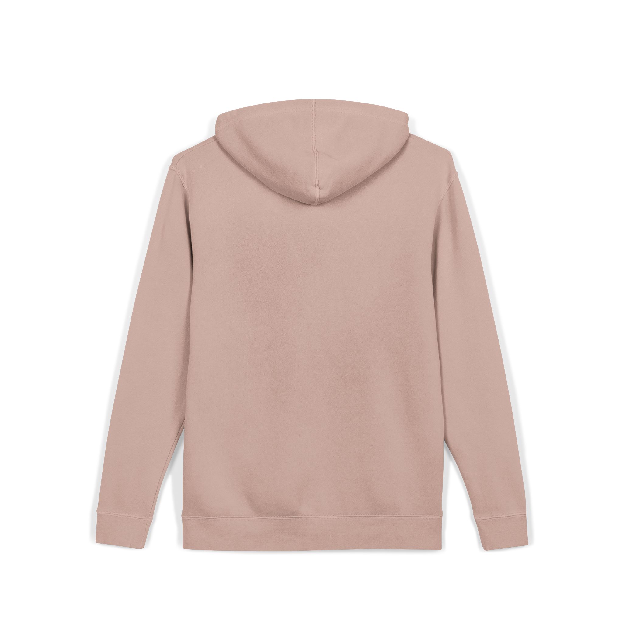 T Rex 1 Unisex Pigment Dyed Hoodie Embroidery - Image 4