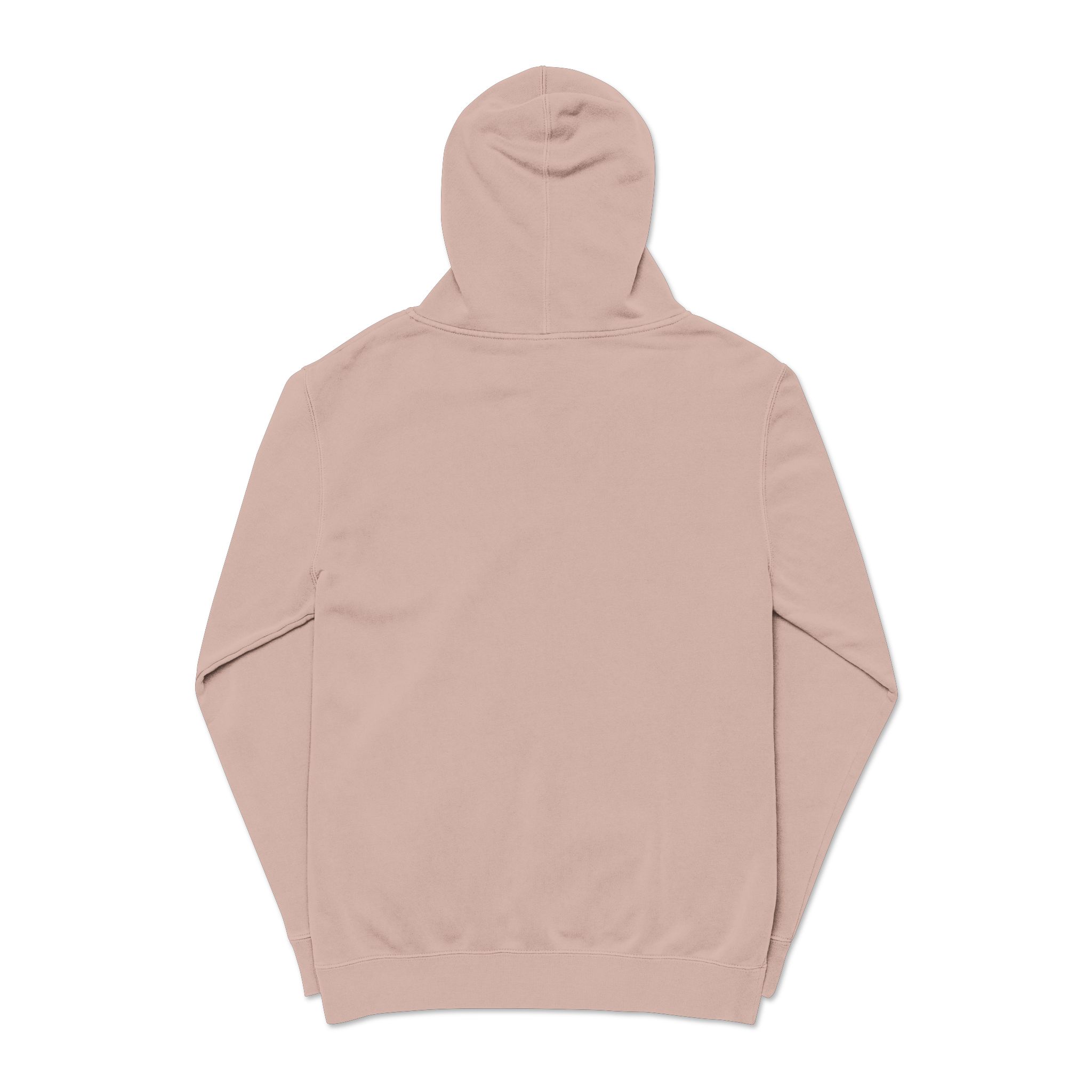 World Oceans Day Unisex Pigment Dyed Hoodie Embroidery - Image 2